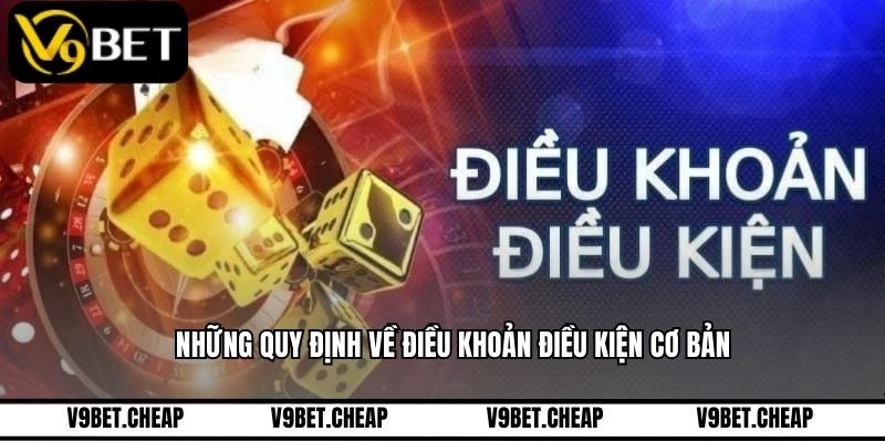 Những quy định về điều khoản điều kiện cơ bản